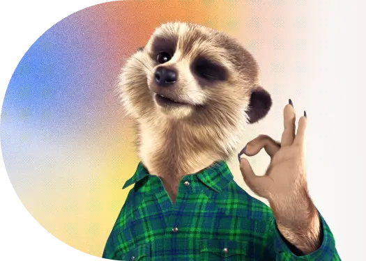 surikata